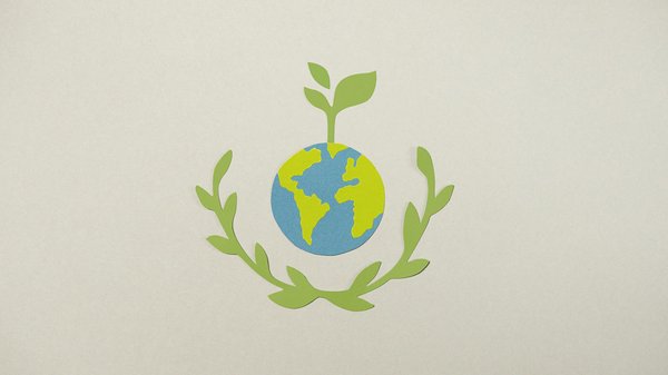 Guide pratique : les secrets de l'investissement dans le succès des entreprises en 2024